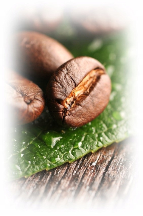 Kawa ziarnista Arabica Kimbo Espresso Crema Intensa 1000 g