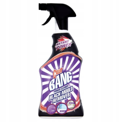 Spray Pleśń i czarne osady 750 ml Cillit Bang