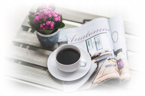 GIMOKA Kapsułki ekspresu Espresso Classico 20szt GIMOKA Kapsułki ekspresu Espresso Classico 20szt